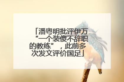 潘粤明批评伊万“一个装傻不辞职的教练”，此前多次发文评价国足